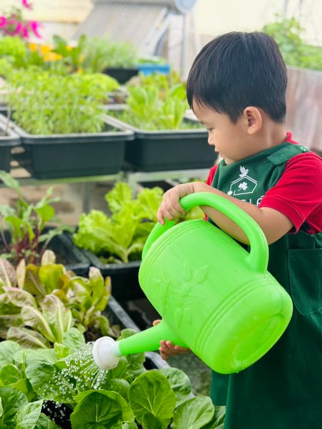 Hoạt động ngoại khóa tại Trường Mầm Non Cỏ Ba Lá