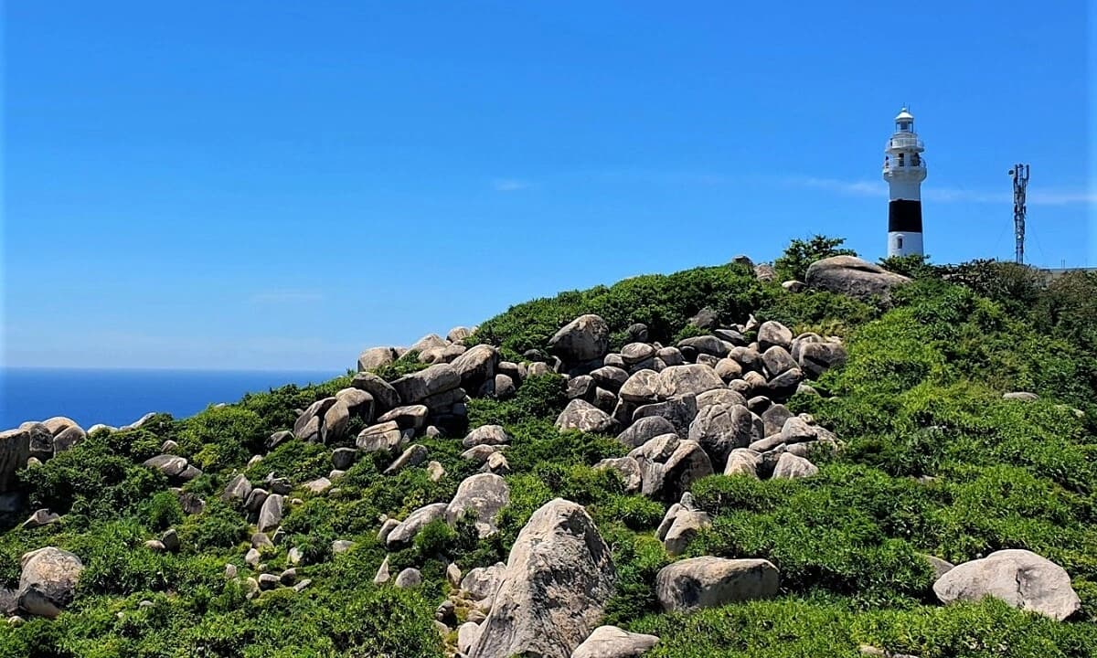 Cù lao xanh hot trend Quy Nhơn